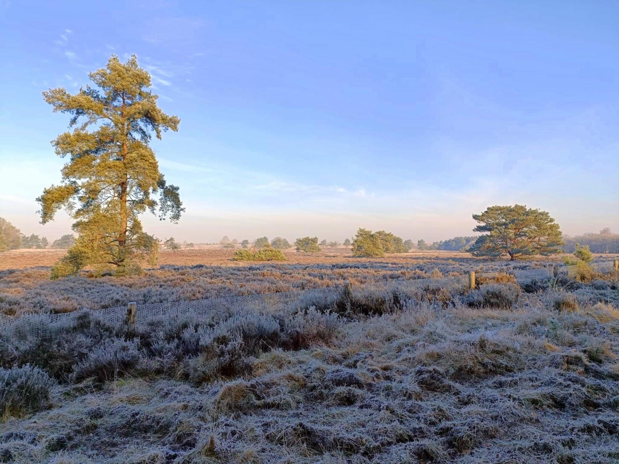 Chalet 42 'Vuursteenberg' Bospark Ijsselheide Zwolle Hattemerbroek المظهر الخارجي الصورة